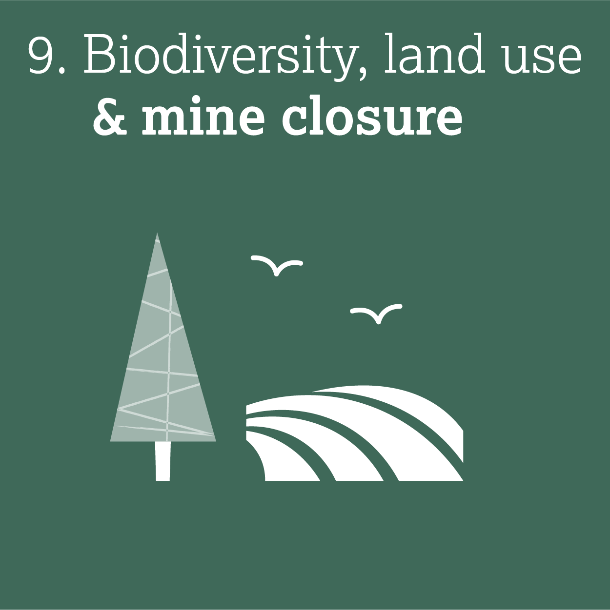 9. Biodiversity, land use and mine closure